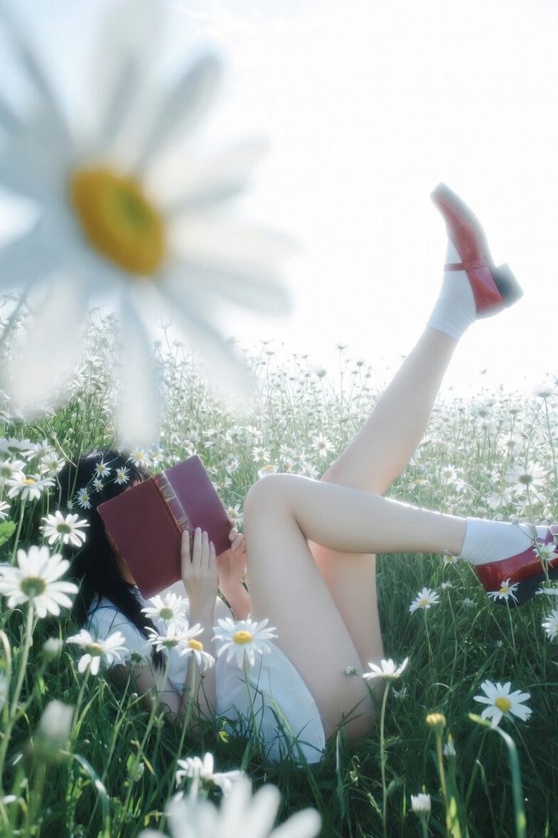 夏日梦幻感少女草地写真Seedance2.0