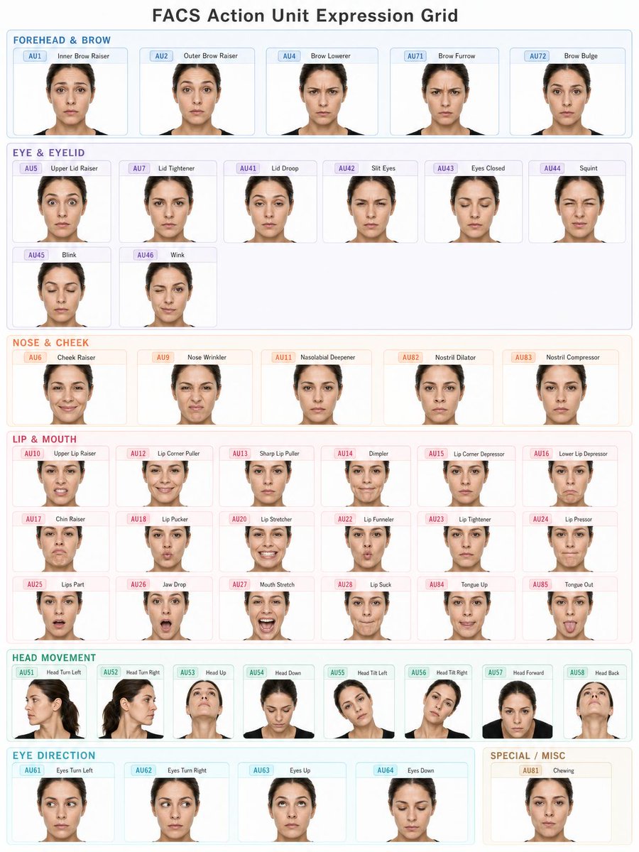 成人女性 FACS 表情单元网格