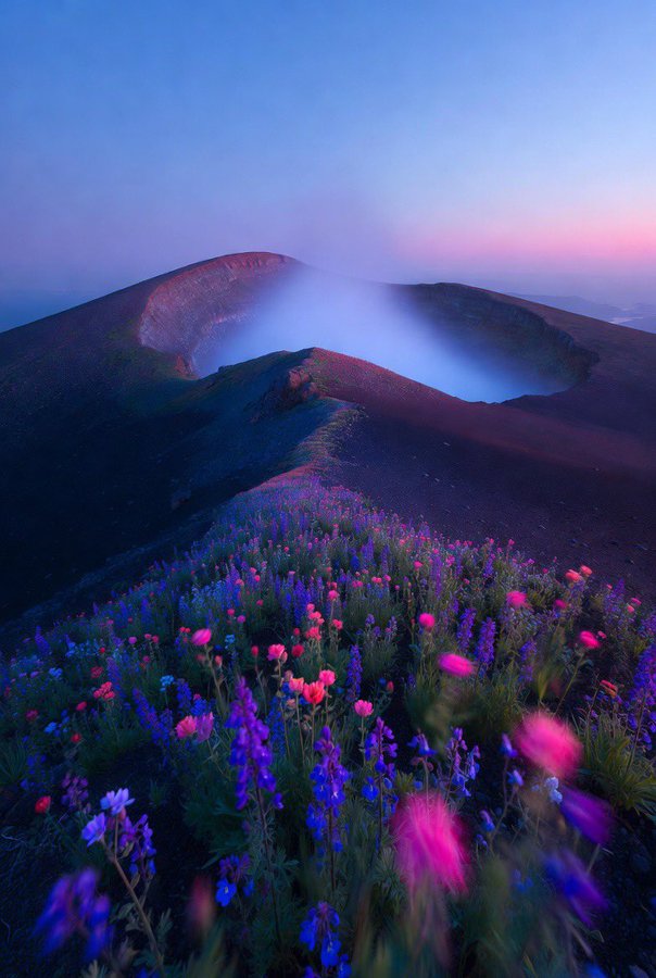 黄金时刻下的梦幻霓虹花海火山
