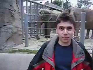 动物园大象前男子的复古胶片时刻