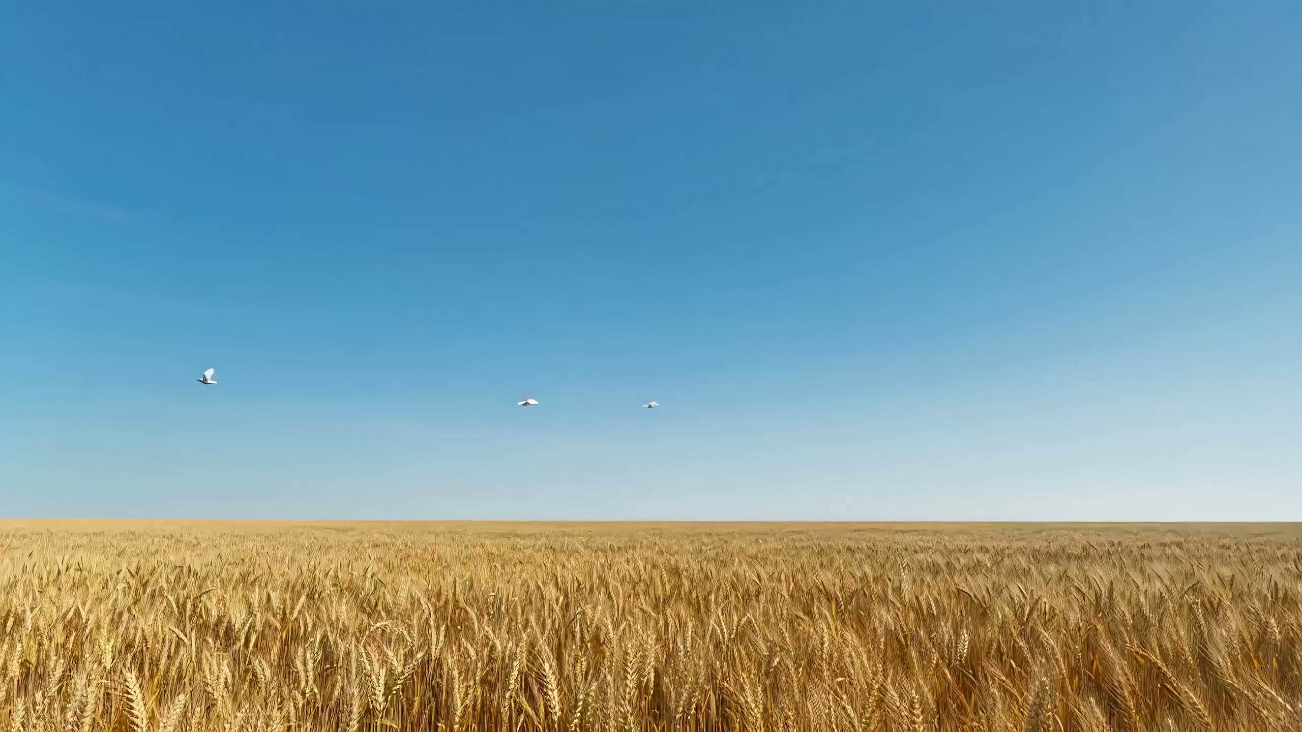 天空拉链背后的赛博朋克真像